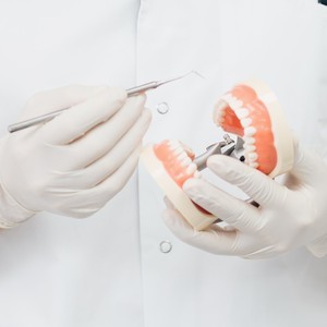 Stomatologist-doctor-explaining-proper-dental-hygiene-patient-holding-sample-human-jaw