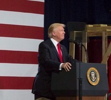 Trump Free Lic
