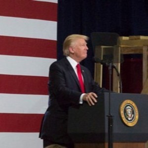 Trump_free_lic